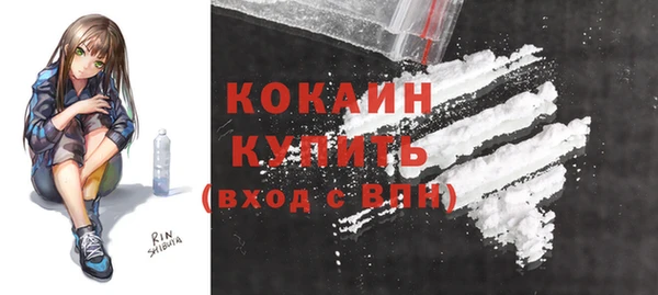 хмурый Инта