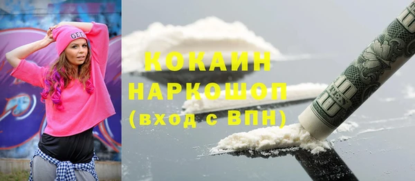 хмурый Инта