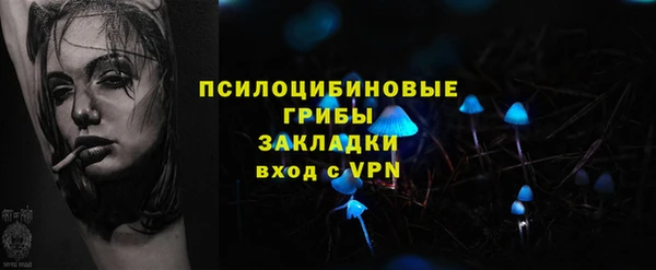 ешки Козельск